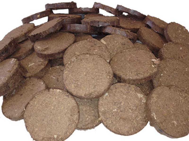 briquette biscuits