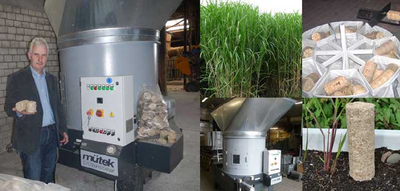 Uebersicht Miscanthus2